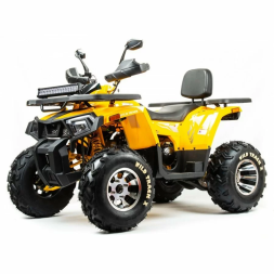 Квадроцикл подростковый MotoLand ATV 200 WILD TRAСK X PRO, фото 2 Квадроцикл подростковый MotoLand ATV 200 WILD TRAСK X PRO, фото 2
