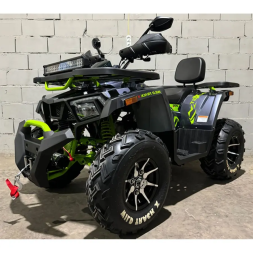 Квадроцикл подростковый MotoLand ATV 200 WILD TRAСK X PRO, фото 1 Квадроцикл подростковый MotoLand ATV 200 WILD TRAСK X PRO, фото 1