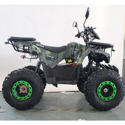 Квадроцикл MOTAX ATV GRIZLIK E1500, фото 3