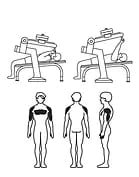 НВВ-001 Жим лежа с переменным весом