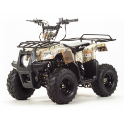 Квадроцикл Motoland RIDER 110 Квадроцикл Motoland RIDER 110