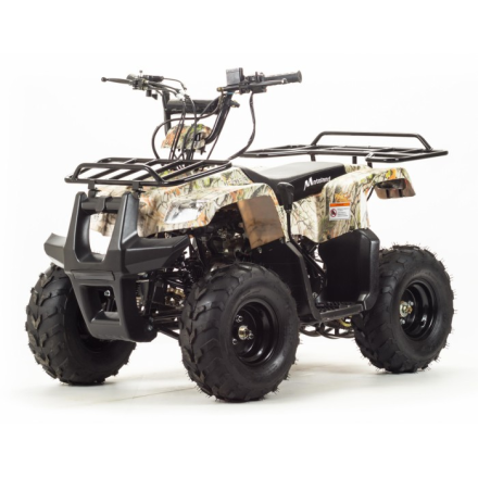 Квадроцикл Motoland RIDER 110, фото 1