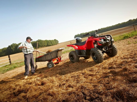 Квадроцикл YAMAHA Segway 300, фото 7