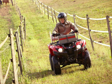 Квадроцикл YAMAHA Segway 300, фото 2