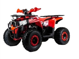 Квадроцикл MOTOLAND Shark 125 Квадроцикл MOTOLAND Shark 125