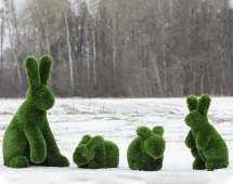 Топиари композиция Зайцы, 4 шт - газон Deluxe Топиари композиция Зайцы, 4 шт - газон Deluxe