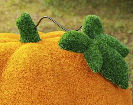 Топиари тыква - газон Eco, фото 3