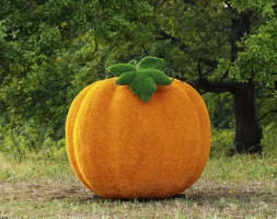 Топиари тыква - газон Eco, фото 1