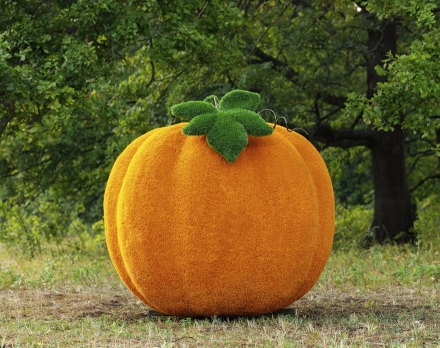 Топиари тыква - газон Eco, фото 1