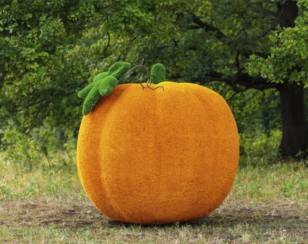 Топиари тыква - газон Eco, фото 2