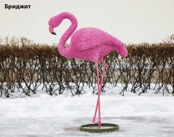 Топиари фламинго, Карина - газон Eco, фото 5