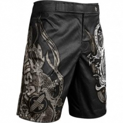 Шорты Hayabusa hayshorts087, фото 1