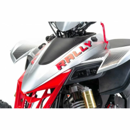Квадроцикл подростковый MotoLand ATV 250 Rally, фото 5 Квадроцикл подростковый MotoLand ATV 250 Rally, фото 5