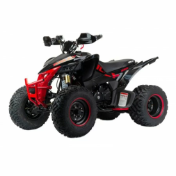 Квадроцикл подростковый MotoLand ATV 250 Rally, фото 3 Квадроцикл подростковый MotoLand ATV 250 Rally, фото 3