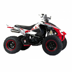 Квадроцикл подростковый MotoLand ATV 250 Rally, фото 2 Квадроцикл подростковый MotoLand ATV 250 Rally, фото 2