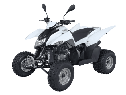 Квадроцикл SYM QuadRaider 300 SD, фото 1