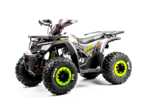 Квадроцикл MOTOLAND Wild Basic 125 Квадроцикл MOTOLAND Wild Basic 125