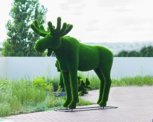 Топиари &quot;Лось (тип 2)&quot;