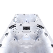 Плавательный спа-бассейн Lovia Spa ZR7801 Плавательный спа-бассейн Lovia Spa ZR7801