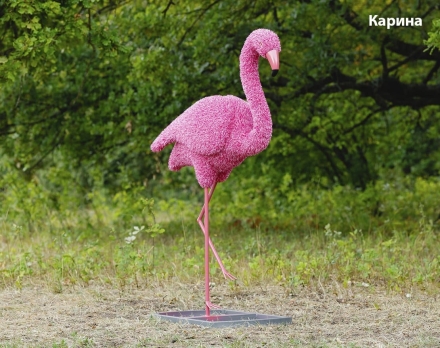 Топиари фламинго, Бриджит - газон Eco, фото 3