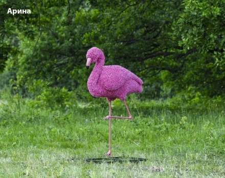 Топиари фламинго, Бриджит - газон Eco, фото 6