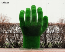 Топиари ладонь Ария - газон Deluxe