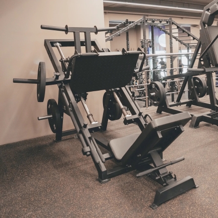 Жим ногами 45 BRONZE GYM PARTNER BGR-801, фото 2