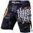 Шорты Hardcore Training hctshorts037