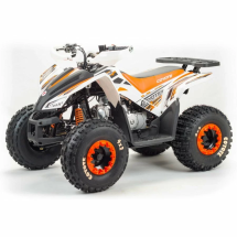 Квадроцикл подростковый MotoLand ATV COYOTE 125