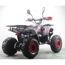 Квадроцикл MOTAX ATV Grizlik Super LUX 125сс New Квадроцикл MOTAX ATV Grizlik Super LUX 125сс New