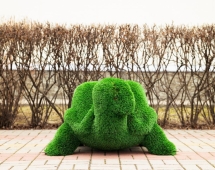 Топиари Черепаха с кашпо Мили - газон Eco Топиари Черепаха с кашпо Мили - газон Eco