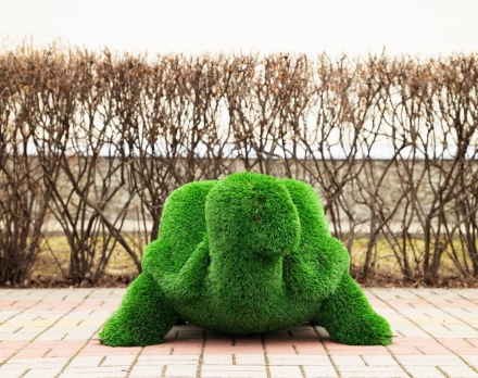 Топиари Черепаха с кашпо Мили - газон Eco, фото 9