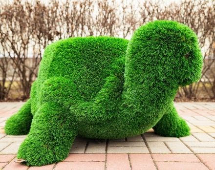 Топиари Черепаха с кашпо Мили - газон Eco, фото 7