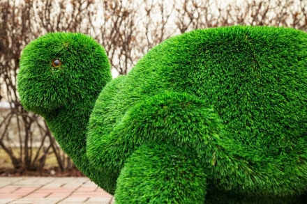 Топиари Черепаха с кашпо Мили - газон Eco, фото 8