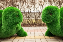 Топиари Черепаха с кашпо Мили - газон Eco Топиари Черепаха с кашпо Мили - газон Eco