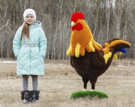 Топиари Петух - газон Eco+Deluxe, фото 4