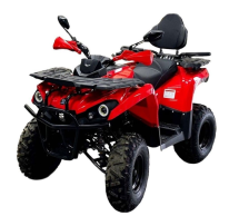 Квадроцикл BISON Hammer 250 PRO