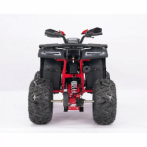 Квадроцикл YACOTA SIRIUS 125 LD