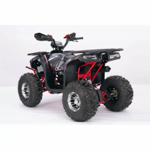 Квадроцикл YACOTA SIRIUS 125 LD