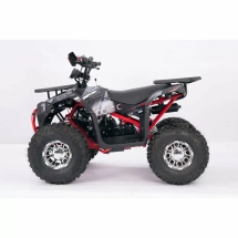 Квадроцикл YACOTA SIRIUS 125 LD