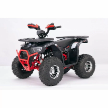 Квадроцикл YACOTA SIRIUS 125 LD