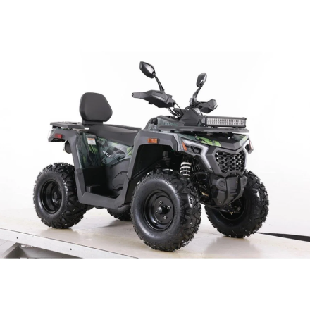 Квадроцикл MOTAX ATV Grizlik T 250 Basic, фото 7