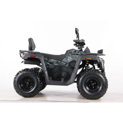 Квадроцикл MOTAX ATV Grizlik T 250 Basic, фото 6