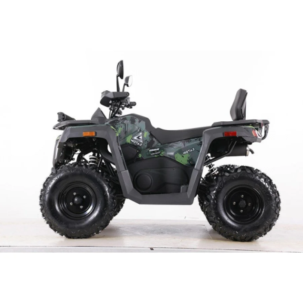 Квадроцикл MOTAX ATV Grizlik T 250 Basic, фото 2