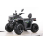 Квадроцикл MOTAX ATV Grizlik T 250 Basic