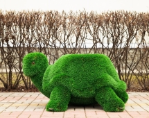 Топиари Черепаха с кашпо Бринхилда - газон Deluxe Топиари Черепаха с кашпо Бринхилда - газон Deluxe