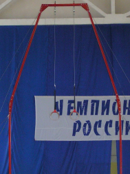 Рама с кольцами гимнастическими