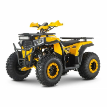 Квадроцикл WELS ATV Thunder Trail 200 Квадроцикл WELS ATV Thunder Trail 200