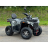 Квадроцикл MOTAX ATV Grizlik T 250 Pro