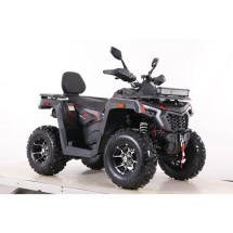 Квадроцикл MOTAX ATV Grizlik T 250 Pro Квадроцикл MOTAX ATV Grizlik T 250 Pro